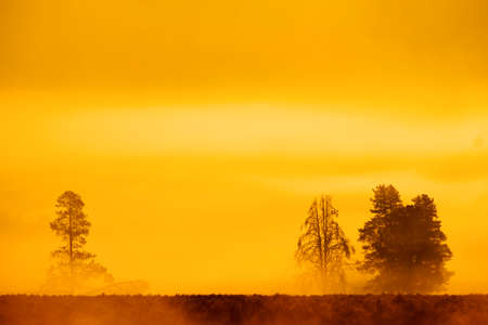 Morning sunrise with trees and river under blue sky and glowing mistの写真素材
