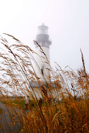 Lighthouse and Grass with Fog near the ocean seaside beach sceneの写真素材