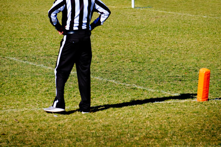 Football referee at the goal line in a game of competition on the fieldの写真素材