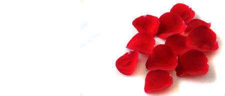 Rose petals as gift soft on white backgroundの写真素材