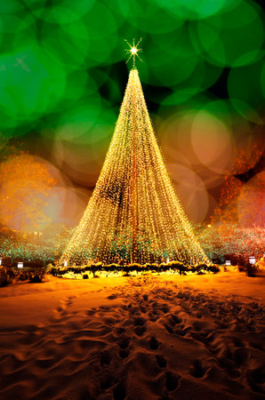 Salt Lake City Temple Square during the Holidays with Christmas Lights on Trees for Decorationsの写真素材
