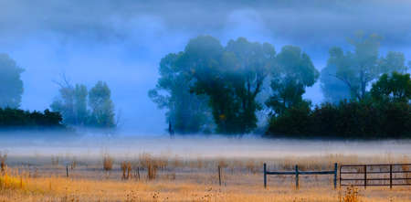 Scenic view of foggy valley meadow with trees and morning sunlightの写真素材