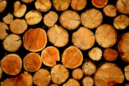 Detail of stack of wood for fire firewood rough texture wooden cut truees