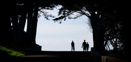Silhouette of people walking and standing under trees branches with skyの写真素材