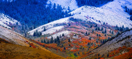Mountain landscape in late fall with autumn tree colors and first snowの写真素材