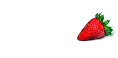 One single fresh red ripe straberry on white background with copy spaceの写真素材
