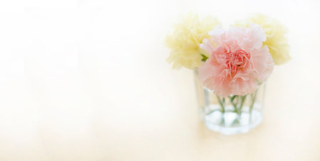 Closeup of fresh spring flowers carnations in cup on old wooden table top decorationの写真素材