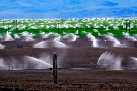Wheel line sprinklers for irrigation of furrowed plowed farm field dirt lines to grow green cropsの写真素材