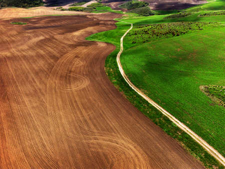 Aerial view from a drone of a green farm field of crops growing with furrows plowed linesの写真素材