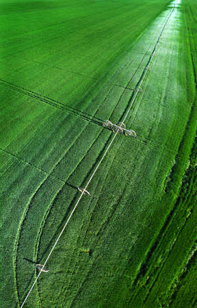 Aerial view from a drone flying above a green farm field growing crops growth with irrigation pivot sprinklersの写真素材