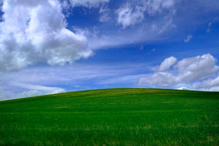 Green farm field of crops with a blue sky and cloudsの写真素材