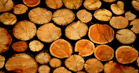 Detail of stack of wood for fire firewood rough texture wooden cut trueesの写真素材