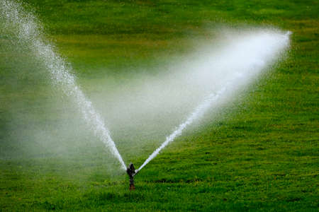 Sprinkler in a park spraying water watering lush green grassの写真素材