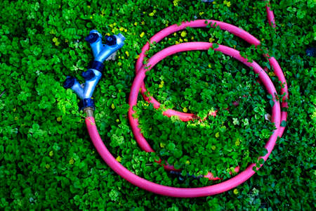 Garden hose with connections wound up lying in plants in gardenの写真素材