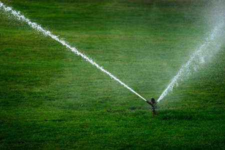 Sprinkler in a park spraying water watering lush green grassの写真素材