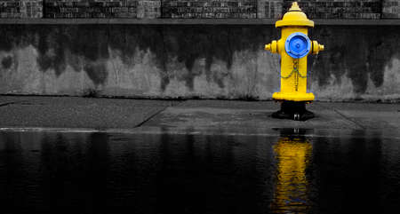 Yellow fire hydrant reflected reflection in pool of water floodの写真素材