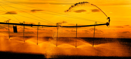 Farming sprinklers waterlines in field for irrigation and watering of crops Pivots Pivot linesの写真素材