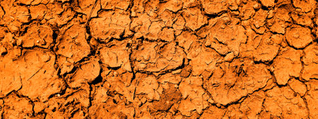 Dried mud dirt drought parched ground