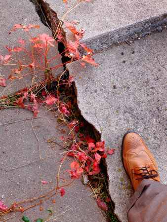 Detail of man walking on cracked and broken concrete sidewalk with fall leavesの写真素材