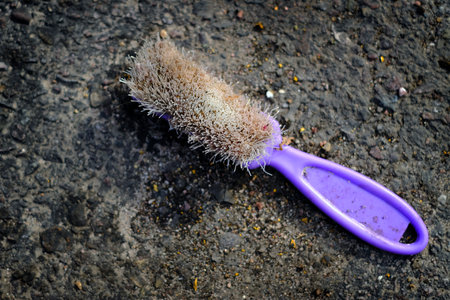Old discarded hairbrush with purple handle as garbage in streetの写真素材