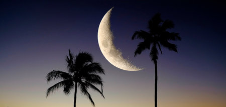 Palm trees on ocean beach in Hawaii with moon in skyの写真素材