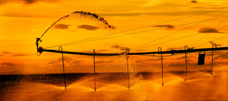 Farming sprinklers waterlines in field for irrigation and watering of crops Pivots Pivot linesの写真素材