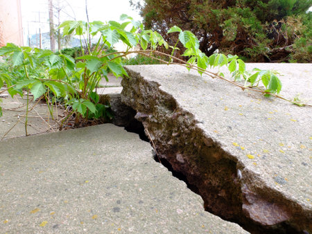 Cracked and broken sidewalk cement construction from plant rootsの写真素材