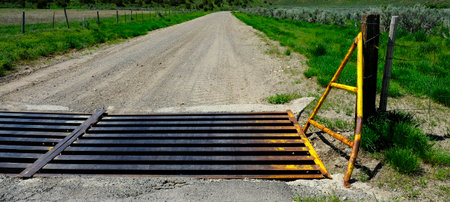 Rusted old cattle crossing grate on old country roadの写真素材
