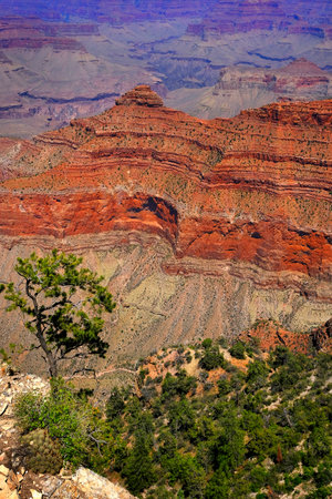 Grand Canyon in Arizona in the USA with amazing views of red rock cliffs and vistasの写真素材