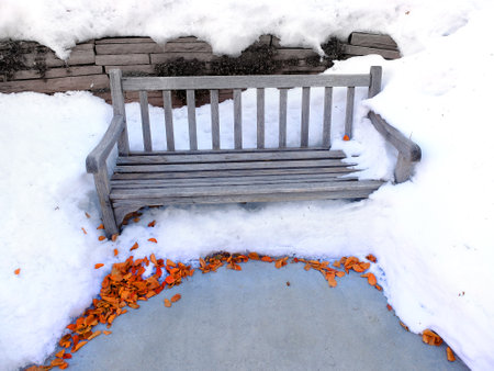 Wooden bench at a park covered in deep winter snow with leavesの写真素材