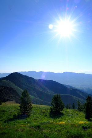 Mountains and wilderness with sun in blue sky sunstar and pine trees on green hills