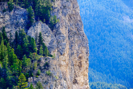 Detail of cliff in wilderness mountains with pine trees growing on steep slopeの写真素材
