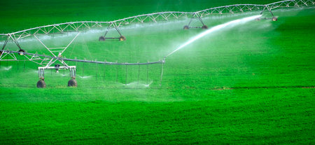 Irrigation sprinkler equipment on lush green field growing waterの写真素材