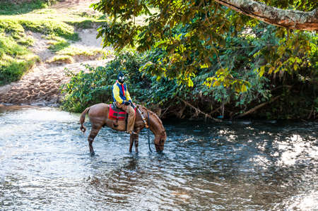 The cavalhadas in the city of PirenÃ³polis is a popular tradition that takes place every year, the main attraction of this party is the masked ("Mascarados de PirenÃ³polis"), people dress in masks and colorful clothes and go on horseback through the city,のeditorial素材