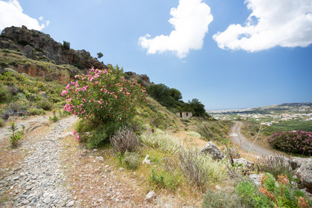 view of CHania and Souda bay, hiking nature hills, in Crete, Greeceの写真素材