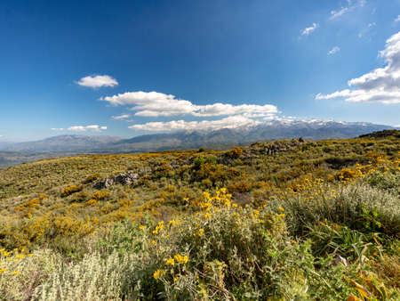 view of CHania and Souda bay, hiking nature hills, in Crete, Greeceの写真素材
