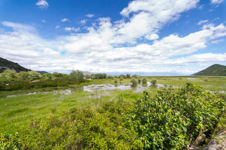 skadarsko jezero, skadar lake panoramic view wide angle, trees mountainsの写真素材