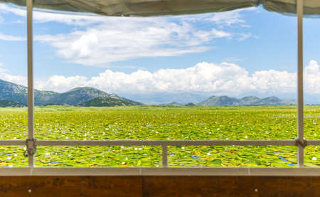 small boat trip on skadar lake, skadarsko jezero,の写真素材