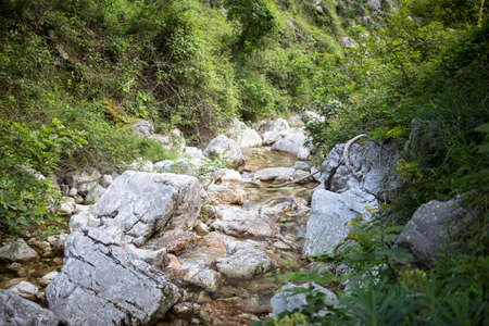 skurda canyon river and rocks, kotorの写真素材