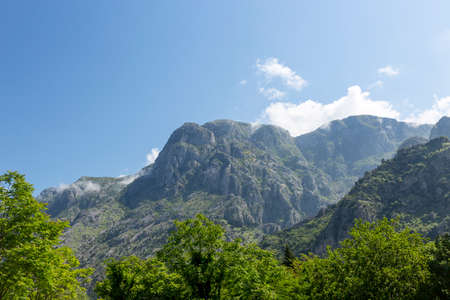 rocky mountains with trees in kotorの写真素材