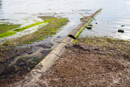 polluted shoreの写真素材
