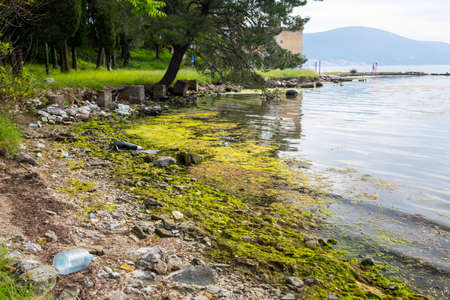 polluted shoreの写真素材