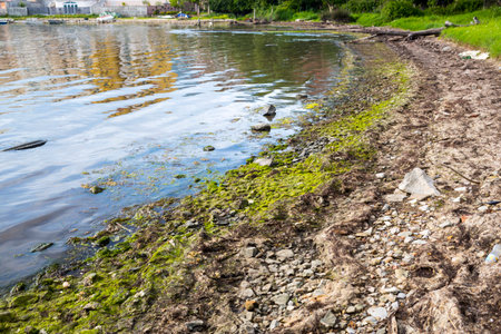polluted shoreの写真素材