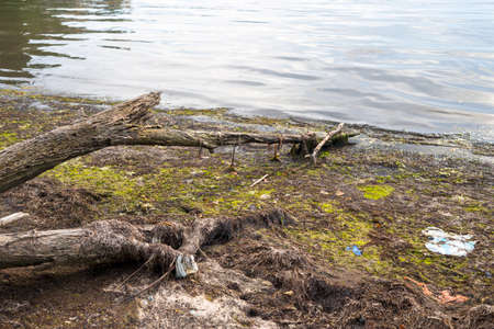 polluted shore