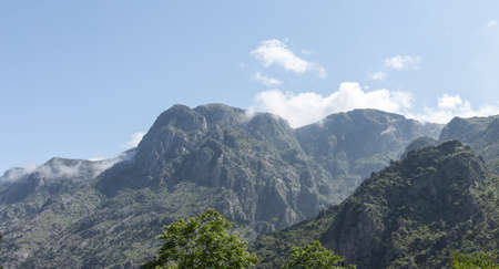 rocky mountains with trees in kotorの写真素材