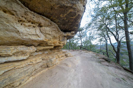Rocky cliff in the middle of the forest. Mountain landscape.