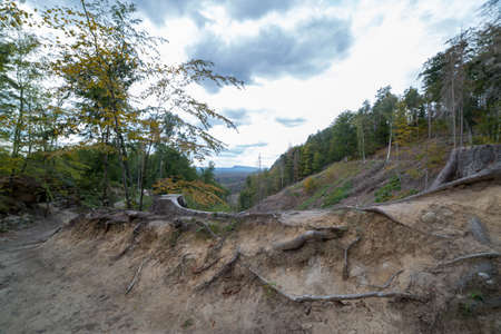 Autumn landscape in the mountains. Beautiful view of the mountain forest.