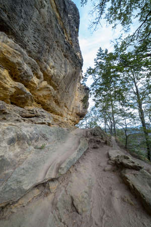 A vertical shot of a sandstone cliff in the middle of the forestの写真素材