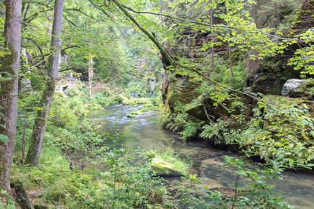 River in the forest. Mountain river in the forest. River in the forest.の写真素材