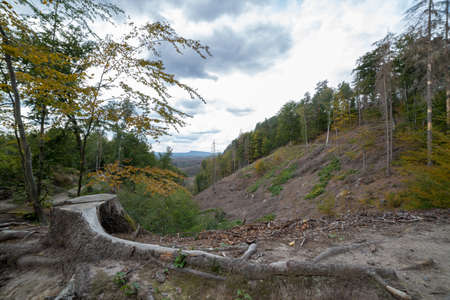 Autumn landscape in the mountains. The road through the forest.